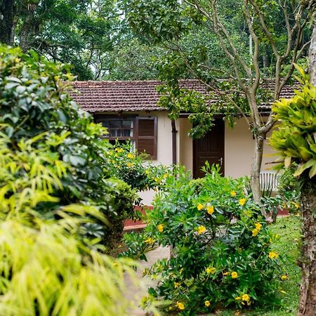 Casa Do Lenhador Βίλα Petrópolis Εξωτερικό φωτογραφία